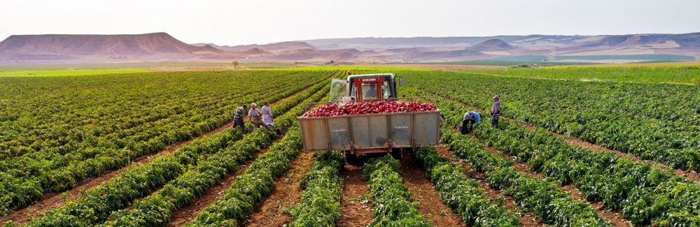 ¿Qué Es La Agricultura Sostenible?